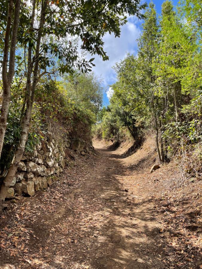 Monte Del Agua House Villa Erjos-El Tanque Bagian luar foto